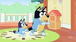 Bluey picture