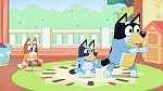 Bluey picture
