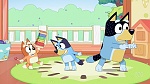 Bluey picture