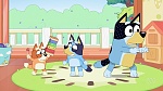 Bluey picture