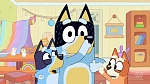 Bluey picture