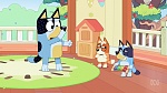 Bluey picture