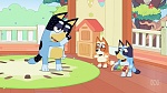Bluey picture