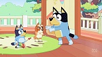 Bluey picture
