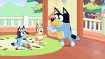 Bluey picture