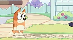 Bluey picture