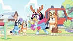 Bluey picture
