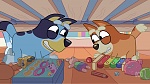 Bluey picture
