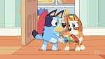 Bluey picture