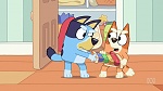 Bluey picture