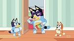Bluey picture