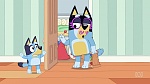 Bluey picture