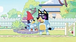 Bluey picture