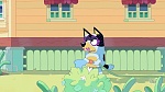 Bluey picture