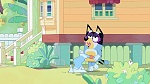Bluey picture