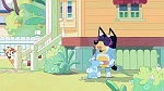 Bluey picture
