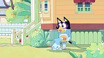 Bluey picture