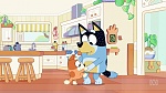 Bluey : Hospital picture
