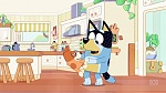 Bluey : Hospital picture