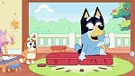 Bluey : Hospital picture