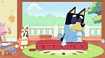 Bluey : Hospital picture