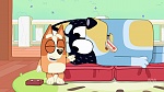 Bluey : Hospital picture