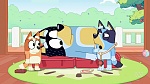 Bluey : Hospital picture