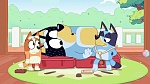 Bluey : Hospital picture