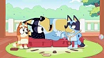Bluey picture