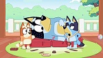 Bluey : Hospital picture