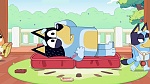Bluey : Hospital picture