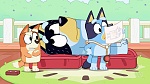 Bluey picture