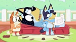 Bluey picture