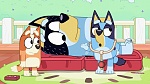 Bluey picture