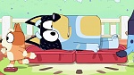 Bluey picture