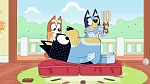 Bluey : Hospital picture