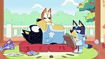 Bluey picture