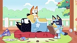 Bluey : Hospital picture
