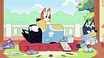 Bluey picture