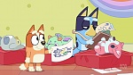 Bluey picture