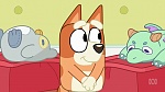 Bluey : Hospital picture