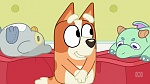 Bluey : Hospital picture