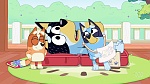 Bluey : Hospital picture
