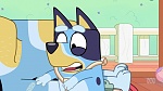 Bluey picture