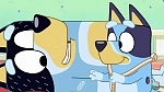 Bluey : Hospital picture