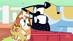 Bluey picture