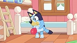 Bluey picture