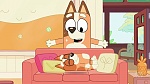 Bluey picture