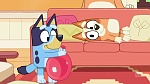 Bluey picture