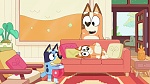 Bluey picture